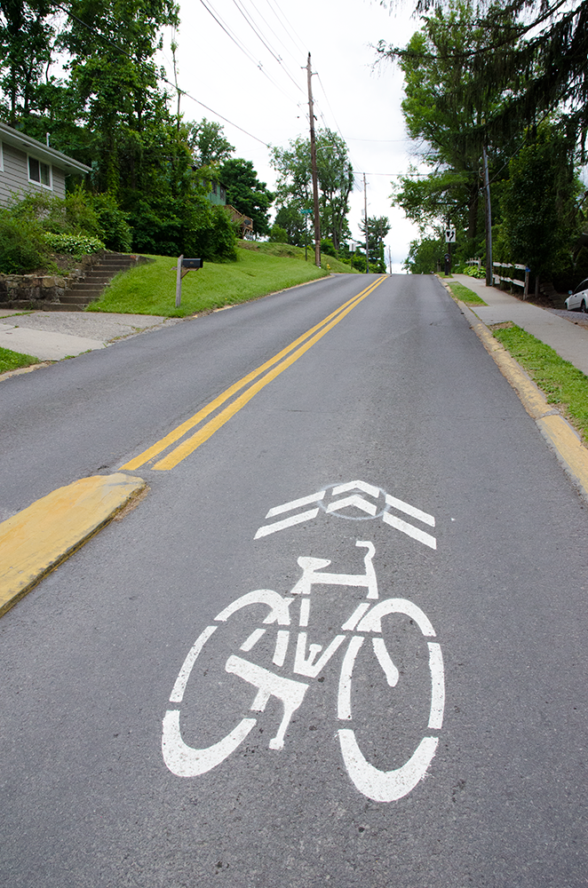 Sharrows on Willowdale